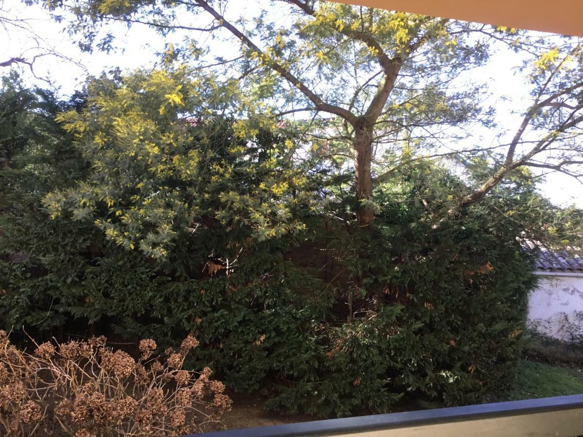 Au Balcon Fleuri Appartement Anglet Buitenkant foto